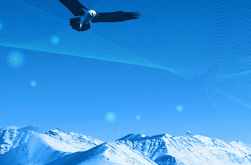 網站制作上的一些基本步驟講解