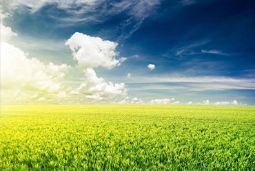 一個(gè)完好的網(wǎng)站建設(shè)策劃是建網(wǎng)站的首要條件