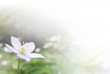 企業(yè)網(wǎng)站建設(shè)設(shè)計(jì)制作過程