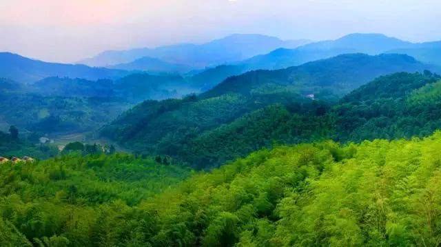 建設(shè)網(wǎng)站時需要注意哪些問題？