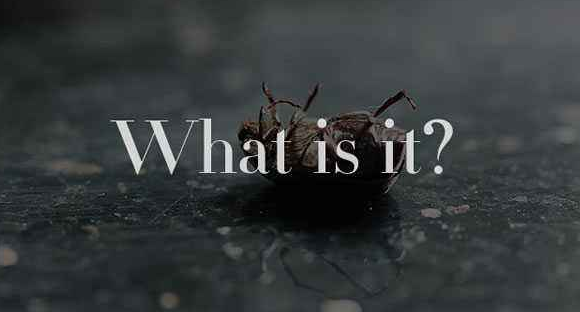 如何判斷網(wǎng)站原創(chuàng)文章是令客戶喜歡的優(yōu)質(zhì)內(nèi)容